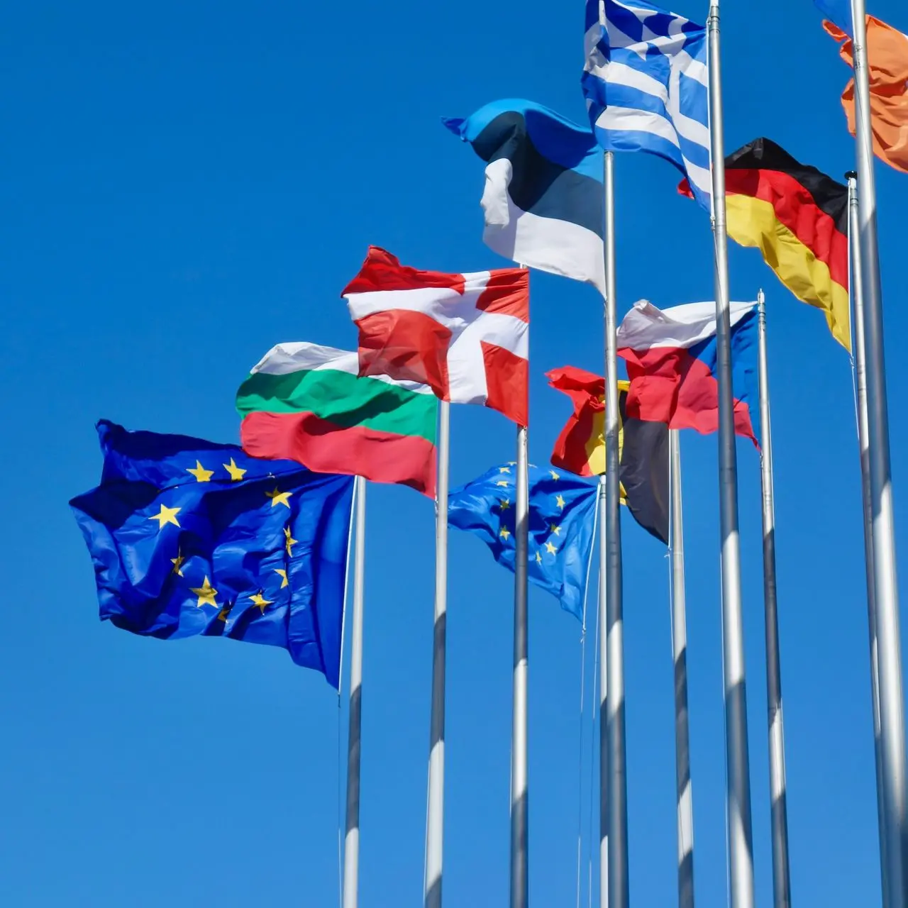 EU Flags